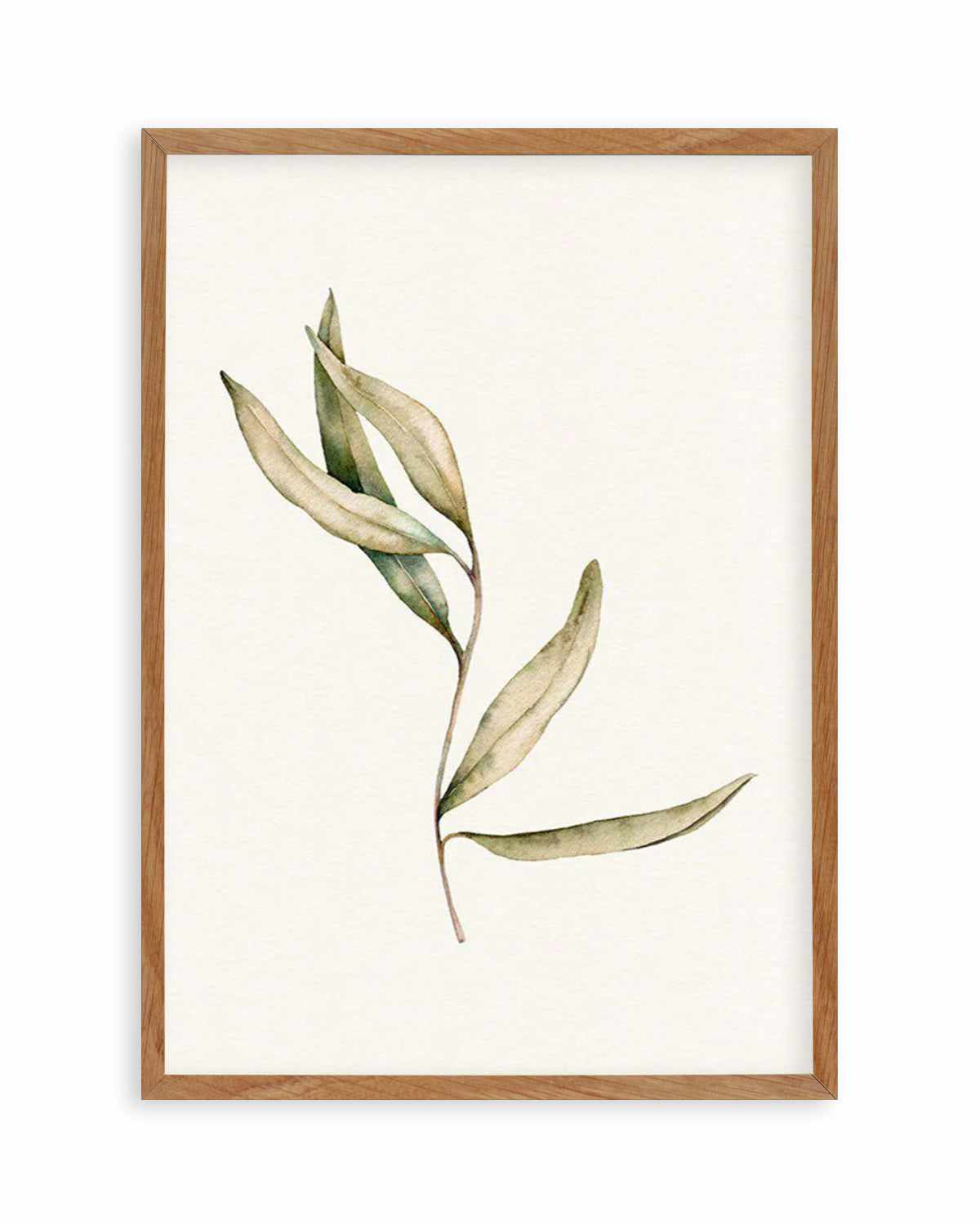 Australian Foliage II Art Print