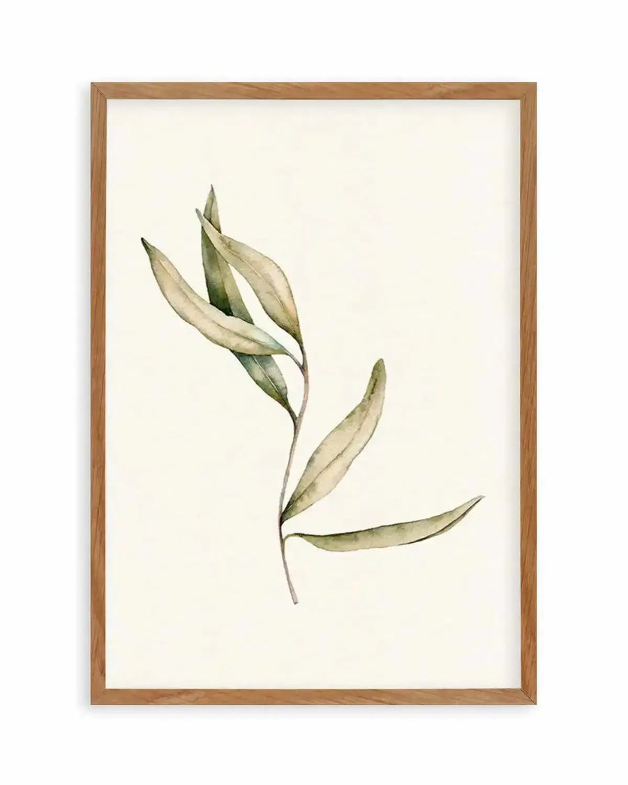 Watercolour art print featuring a single olive branch with five leaves in muted sage green and pale olive tones on a cream background, printed on fine art paper and displayed in a natural oak frame with white border.