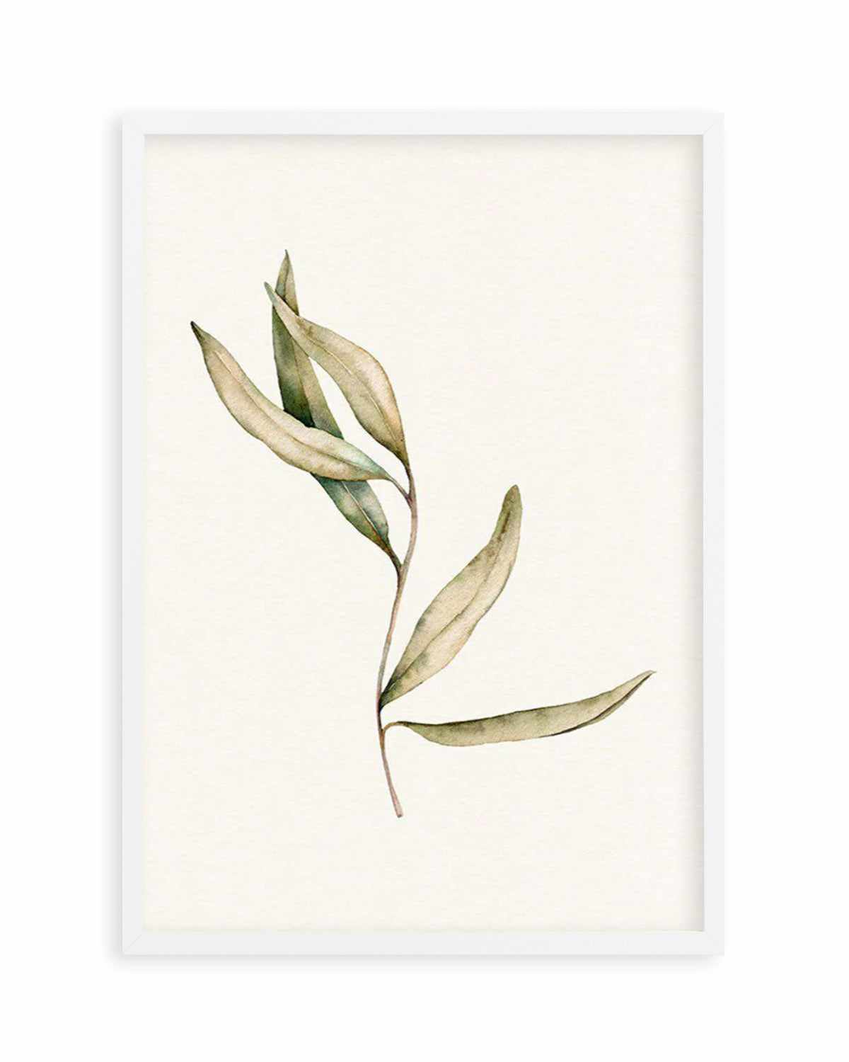 Australian Foliage II Art Print