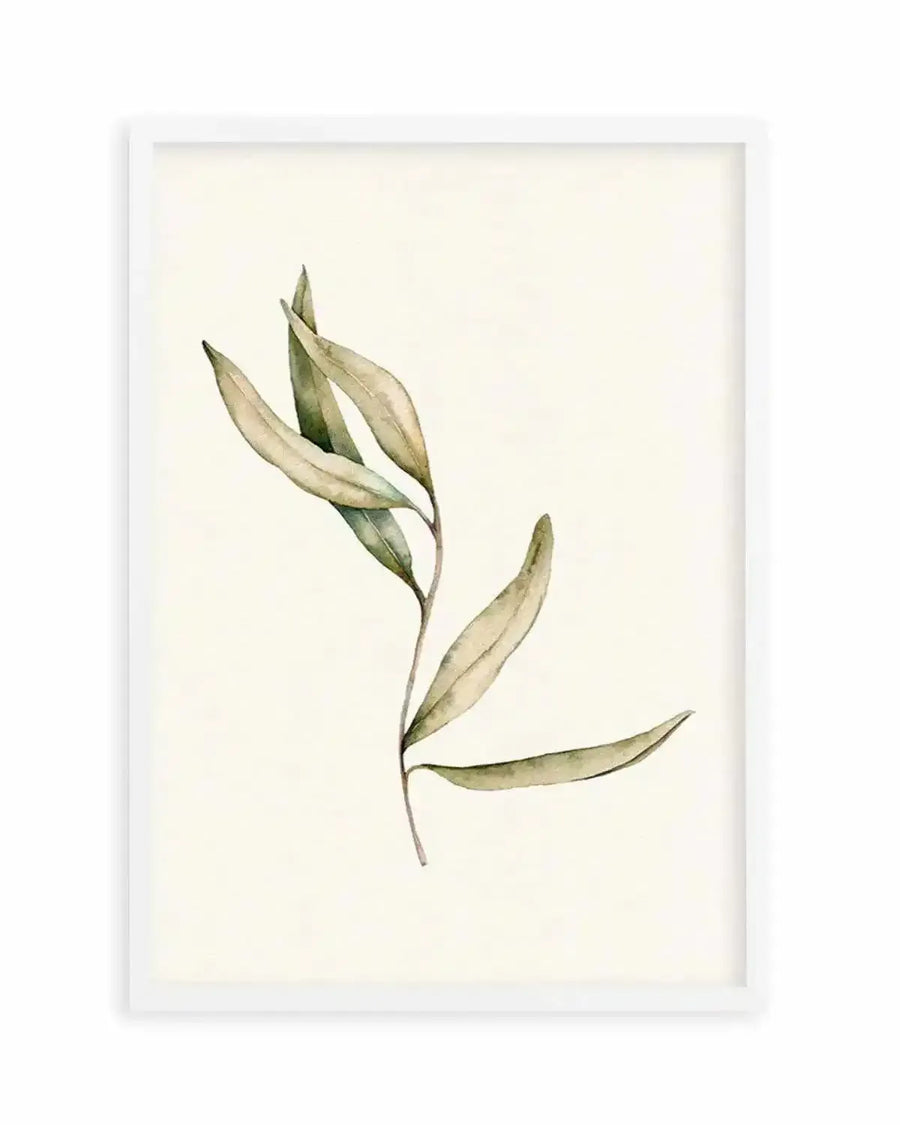 Watercolour art print featuring a single Australian foliage branch with elongated, slightly curved leaves in muted sage green and pale olive tones, on a soft cream background, printed on fine art paper and displayed in a white frame with white border.