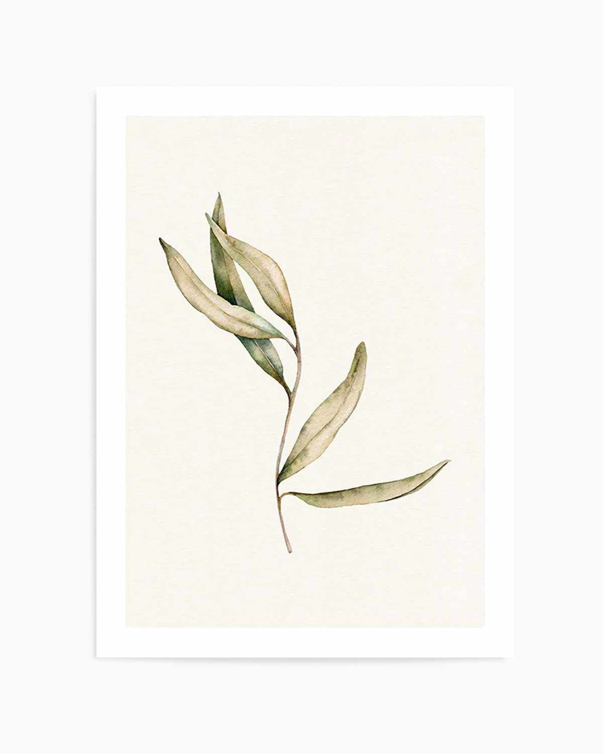 Australian Foliage II Art Print