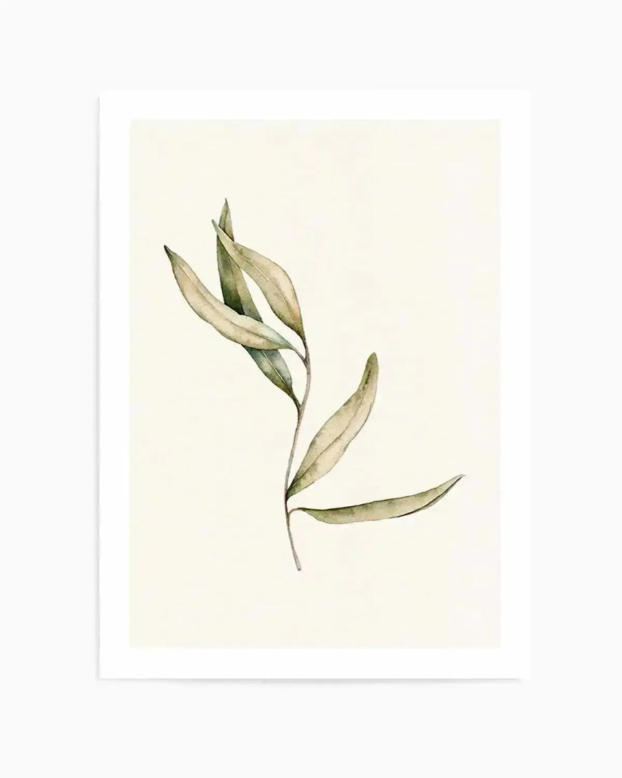 Australian Foliage II Art Print from Olive et Oriel where you can shop wallpaper and artworks online