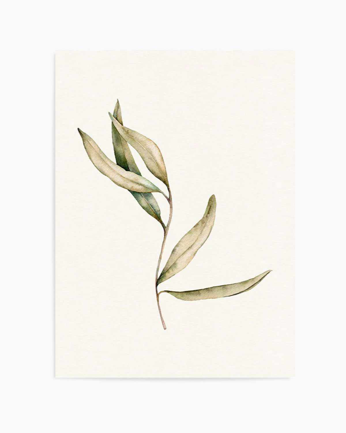 Australian Foliage II Art Print