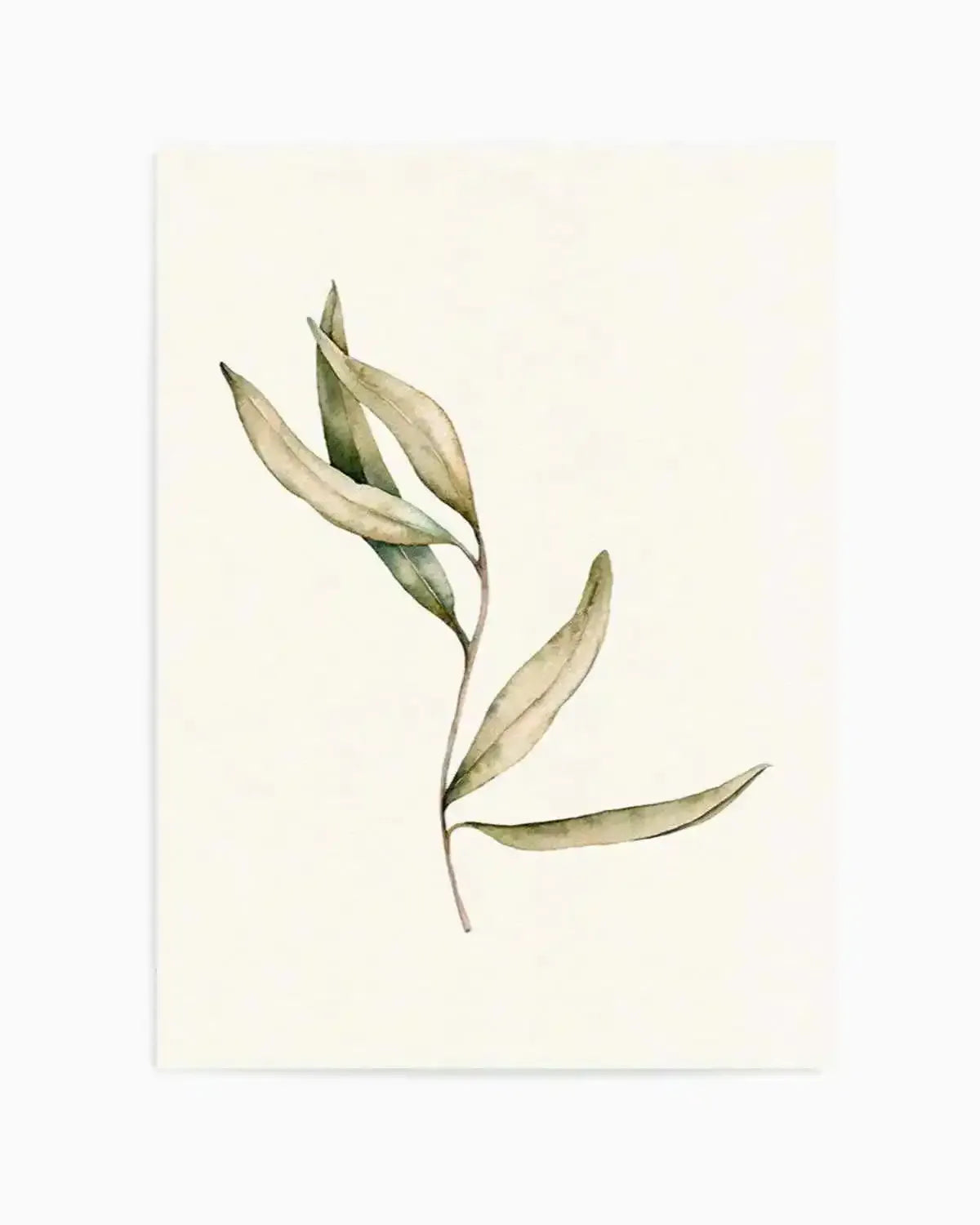 Australian Foliage II Art Print from Olive et Oriel where you can shop wallpaper and artworks online