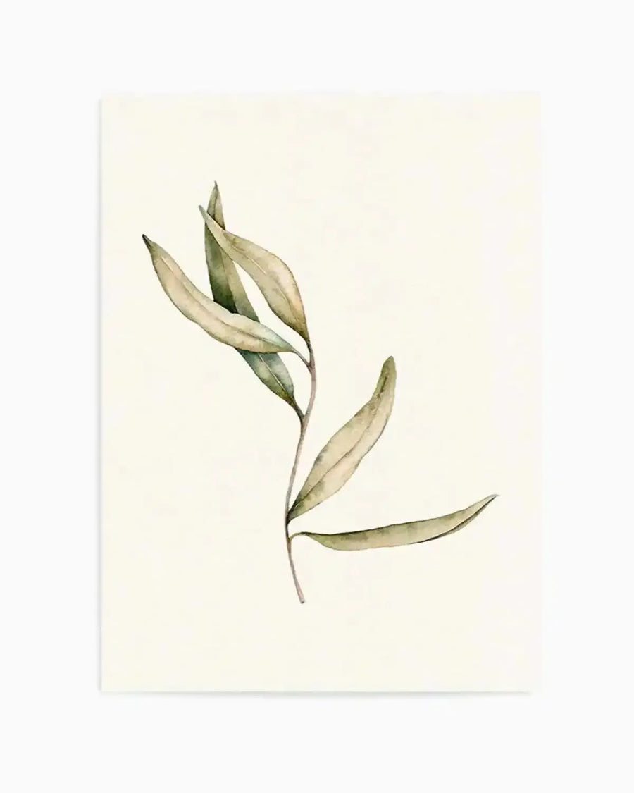 Watercolour art print featuring a single olive branch with several elongated, pointed leaves in muted sage green and dusty olive tones, with soft brushstroke detail on a cream background.
