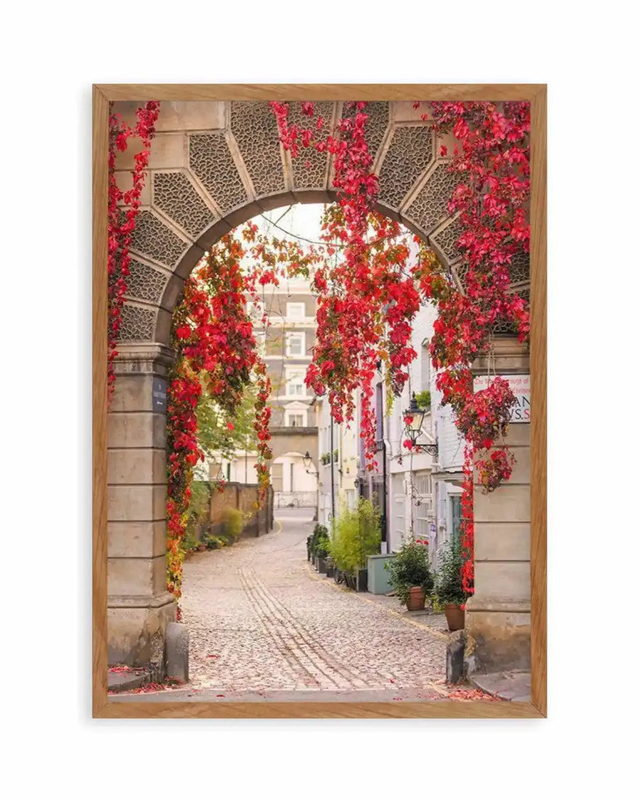 Framed photograph of an autumn archway in London with a natural wood frame. The archway, made of stone with intricate geometric patterns, is heavily draped with vibrant red and orange ivy. The arch opens to a cobblestone street lined with charming, colourful buildings and potted plants, creating a picturesque and inviting scene.