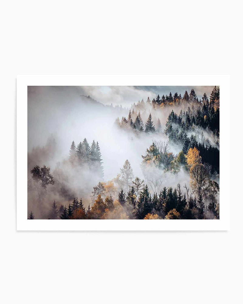 Autumn Forest Mist Art Print