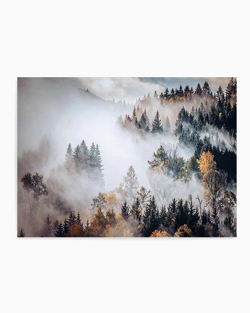 Autumn Forest Mist Art Print