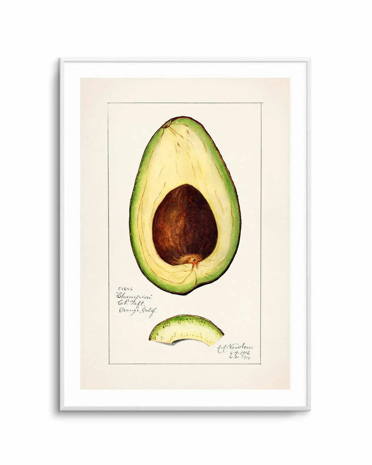 Avocado Vintage Poster Art Print from Olive et Oriel where you can shop wallpaper and artworks online