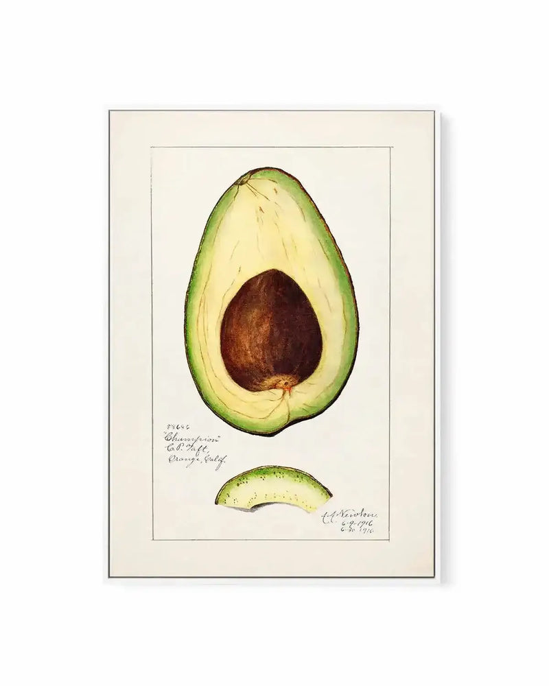 Avocado Vintage Poster | Framed Canvas Art Print from Olive et Oriel where you can shop wallpaper and artworks online