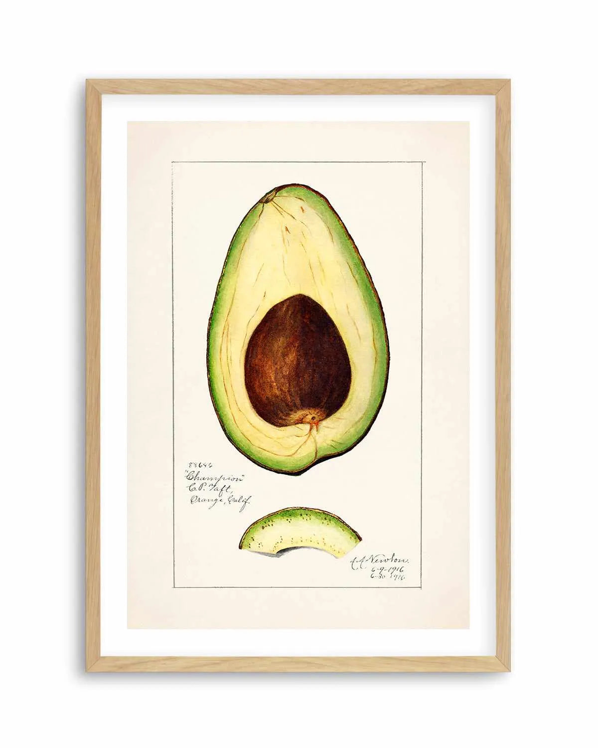 Avocado Vintage Poster Art Print from Olive et Oriel where you can shop wallpaper and artworks online