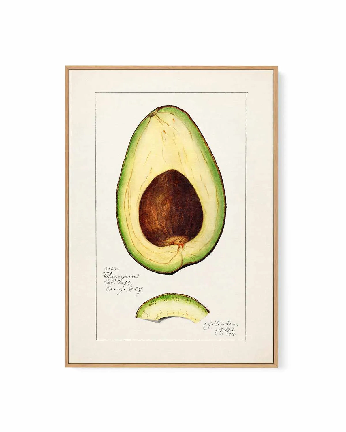 Avocado Vintage Poster | Framed Canvas Art Print from Olive et Oriel where you can shop wallpaper and artworks online