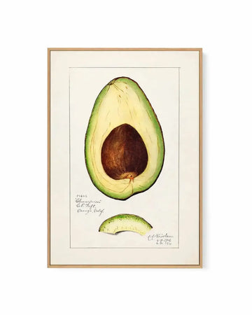 Avocado Vintage Poster | Framed Canvas Art Print from Olive et Oriel where you can shop wallpaper and artworks online