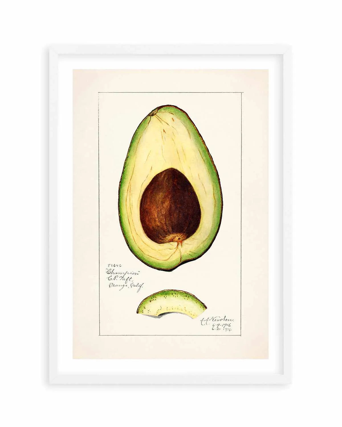 Avocado Vintage Poster Art Print from Olive et Oriel where you can shop wallpaper and artworks online