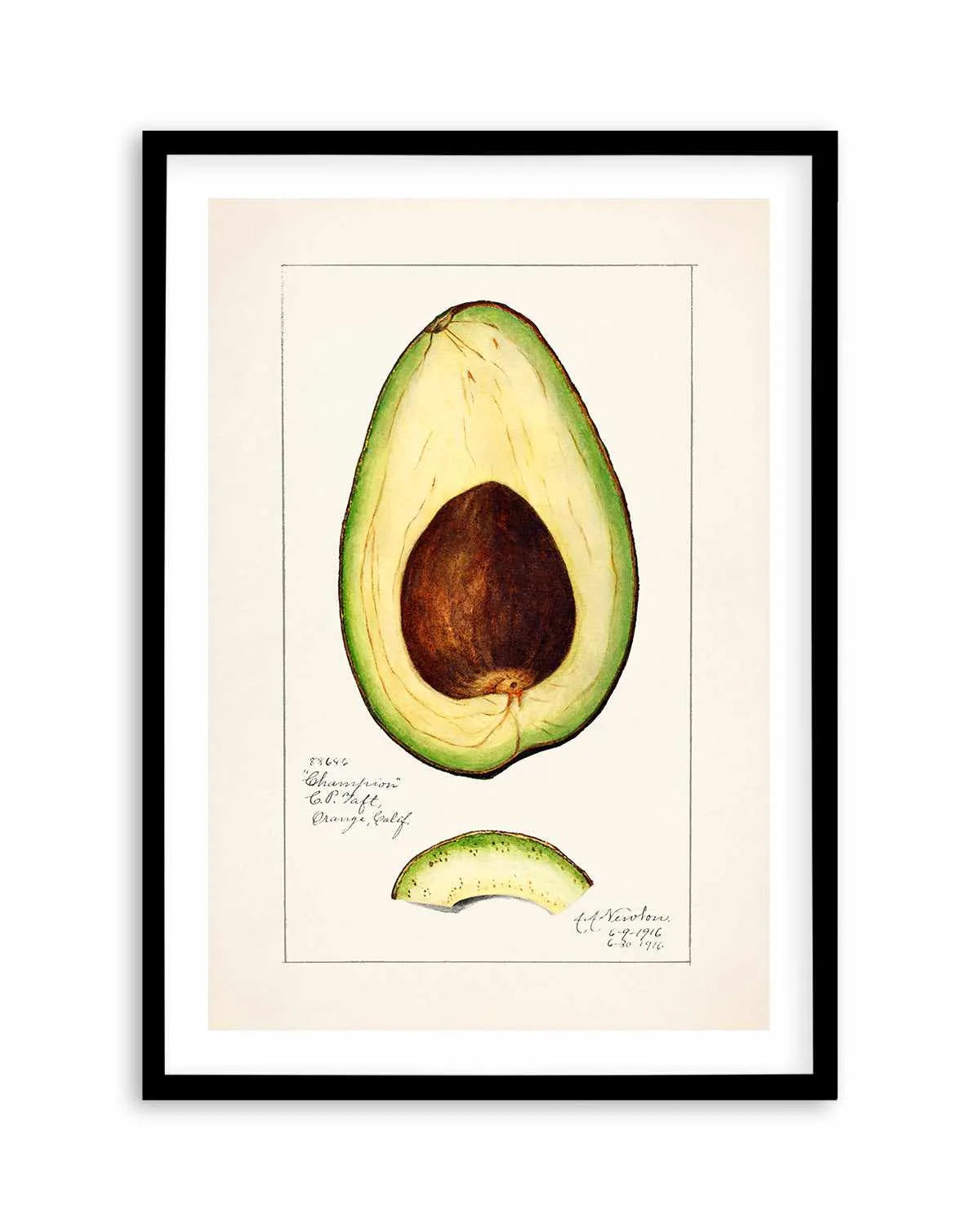 Avocado Vintage Poster Art Print from Olive et Oriel where you can shop wallpaper and artworks online