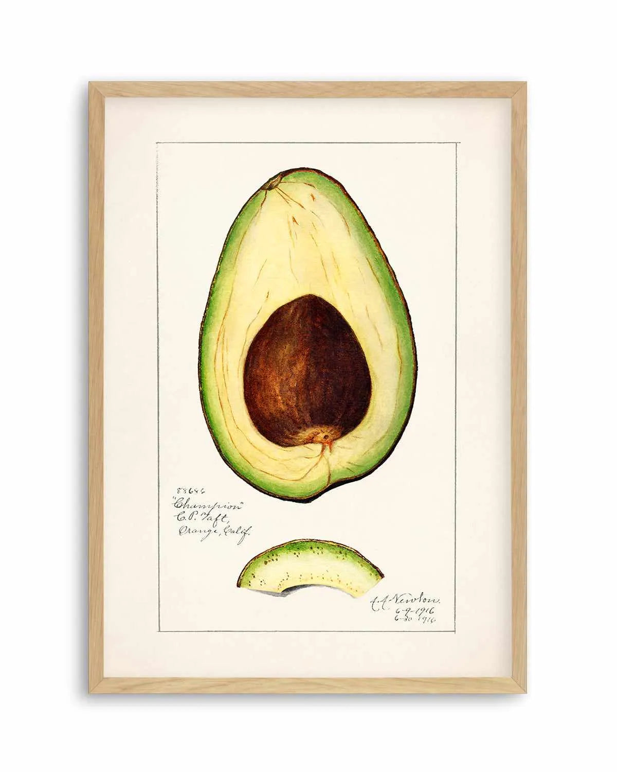 Avocado Vintage Poster Art Print from Olive et Oriel where you can shop wallpaper and artworks online