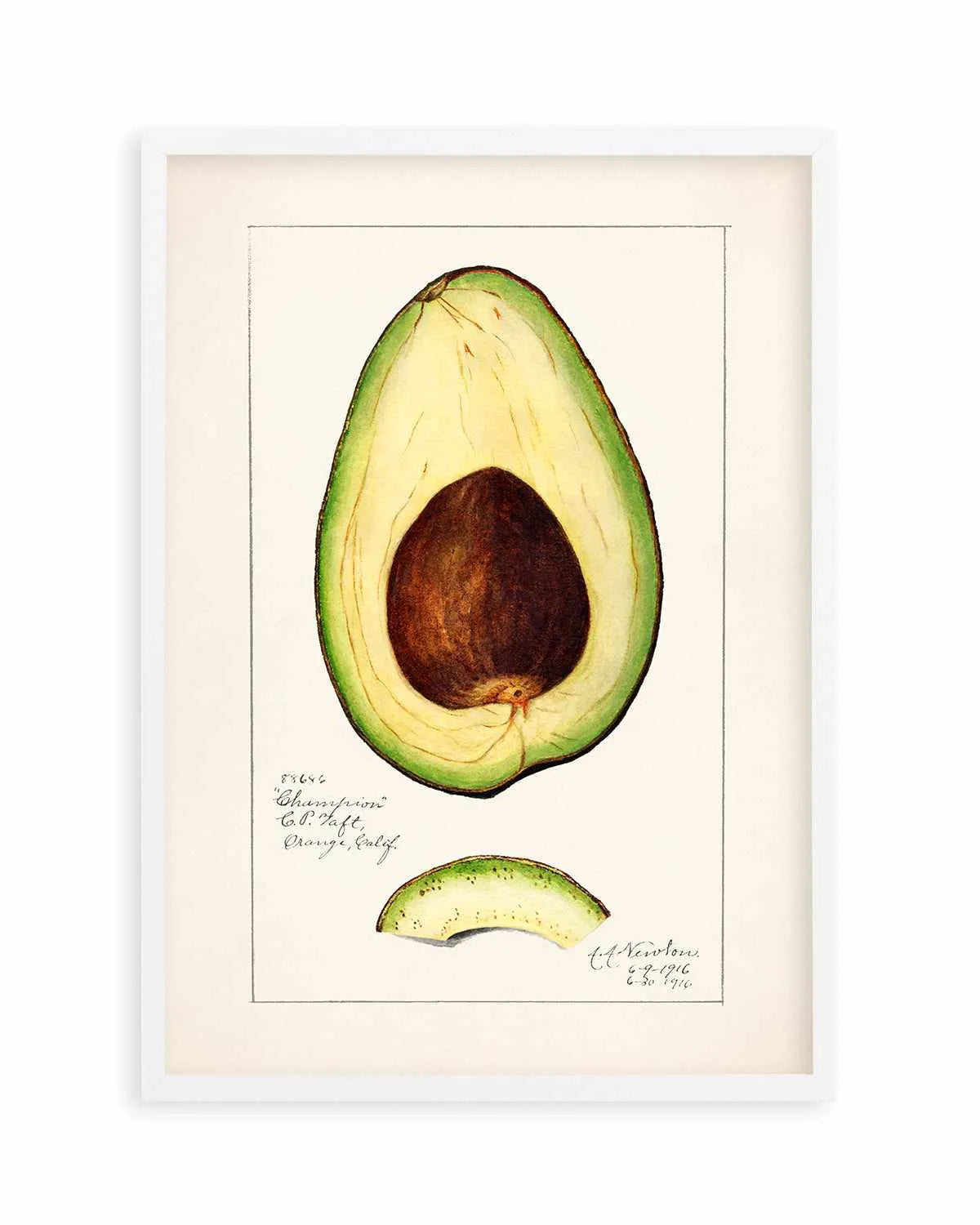 Avocado Vintage Poster Art Print from Olive et Oriel where you can shop wallpaper and artworks online