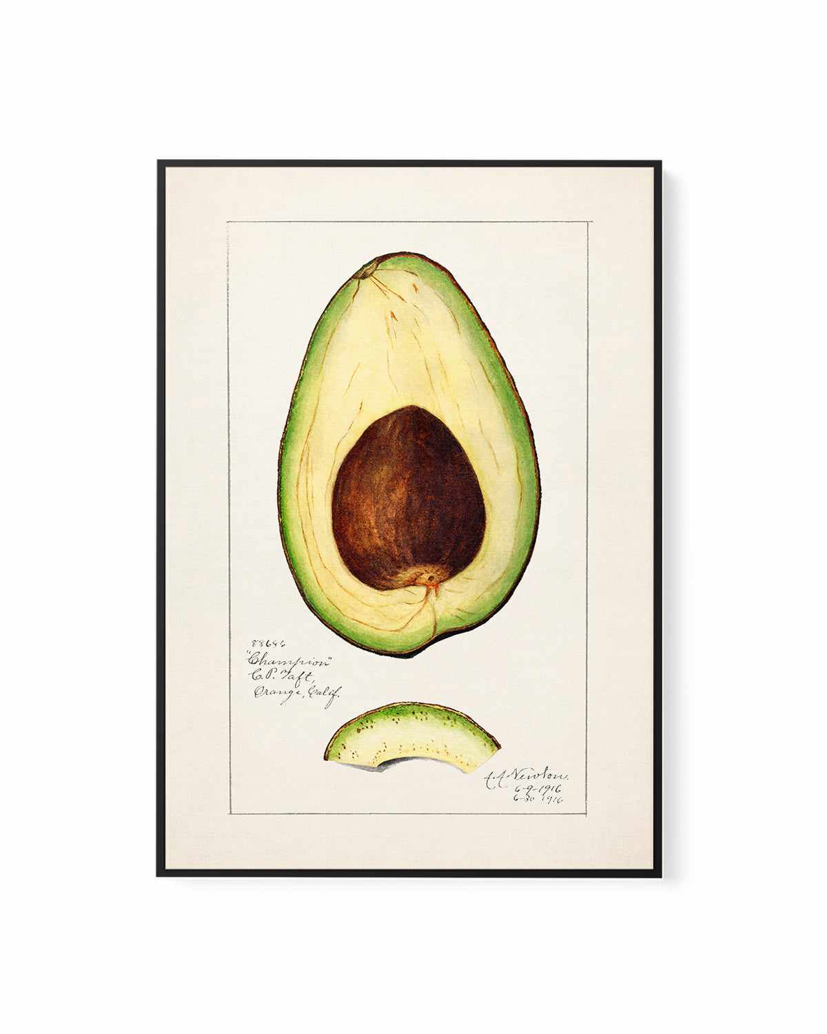 Avocado Vintage Poster | Framed Canvas Art Print