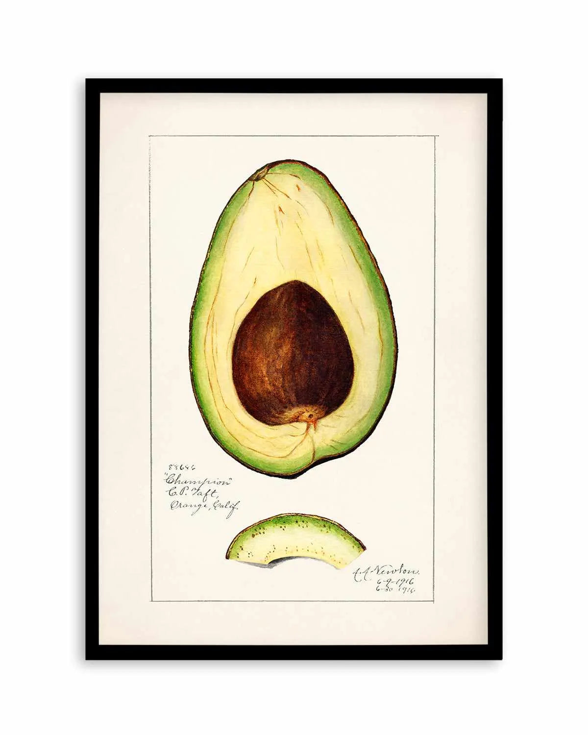 Avocado Vintage Poster Art Print from Olive et Oriel where you can shop wallpaper and artworks online