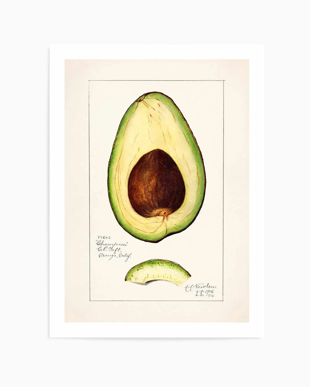 Avocado Vintage Poster Art Print from Olive et Oriel where you can shop wallpaper and artworks online