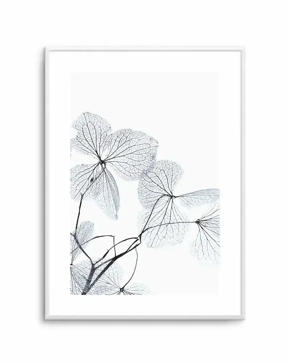 Blue Leaves I Art Print-PRINT-Olive et Oriel-Olive et Oriel-A5 | 5.8" x 8.3" | 14.8 x 21cm-Unframed Art Print-With White Border-Buy-Australian-Art-Prints-Online-with-Olive-et-Oriel-Your-Artwork-Specialists-Austrailia-Decorate-With-Coastal-Photo-Wall-Art-Prints-From-Our-Beach-House-Artwork-Collection-Fine-Poster-and-Framed-Artwork