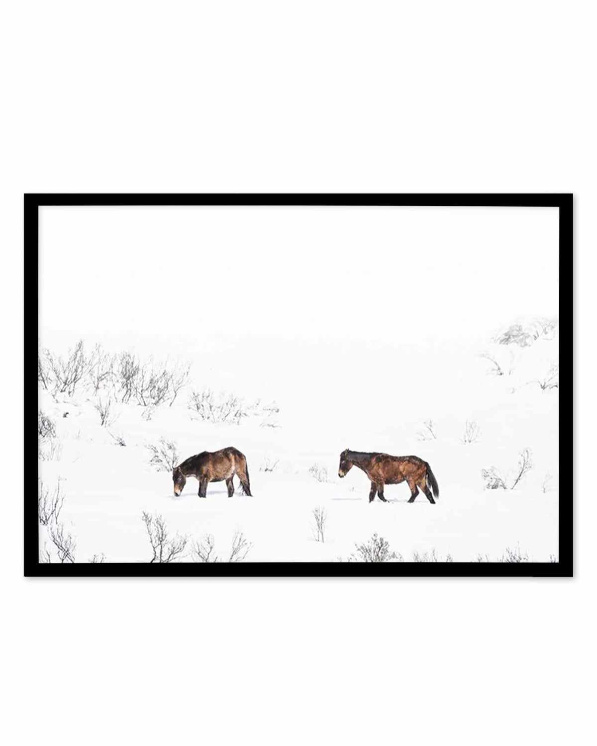 Baby Brumbies Art Print