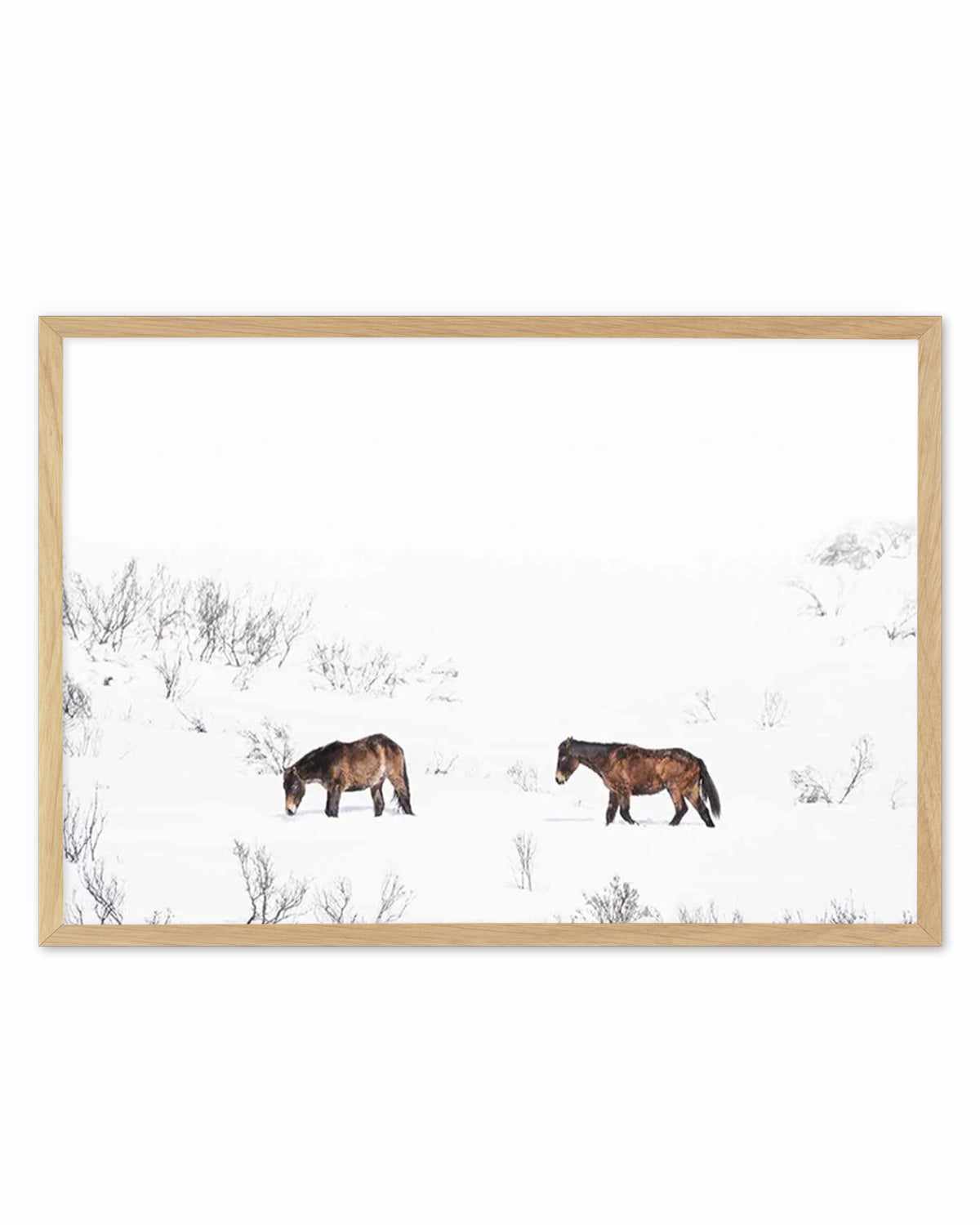 Baby Brumbies Art Print