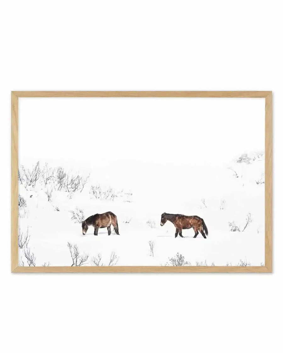 Framed photograph of two brown horses in a snowy landscape with a natural wood frame and white border. The horses are walking through deep white snow with sparse, dark, bare tree branches visible. The horse on the left is darker brown and has its head down, while the horse on the right is a lighter reddish-brown and is looking forward.
