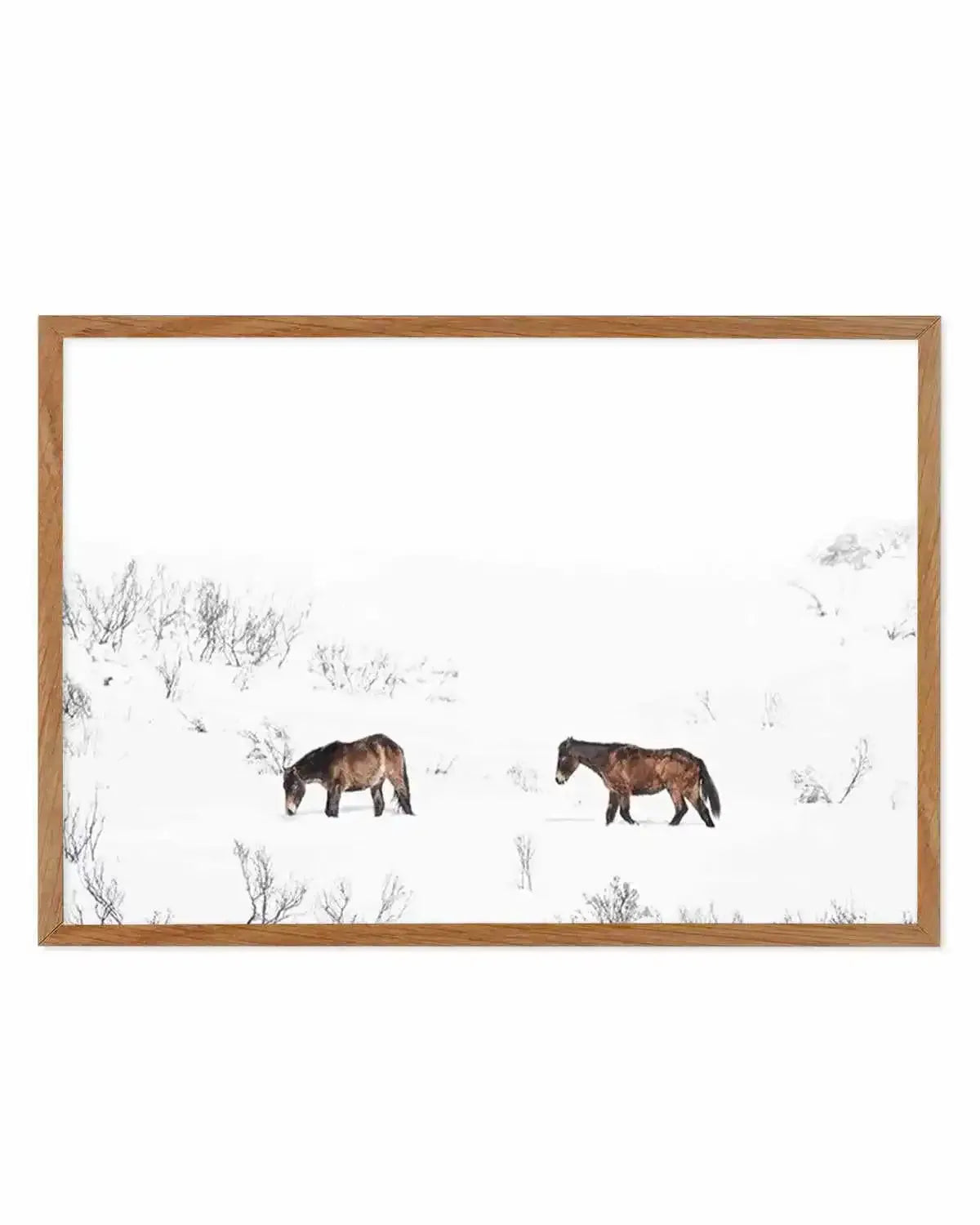 Baby Brumbies Art Print from Olive et Oriel where you can shop wallpaper and artworks online