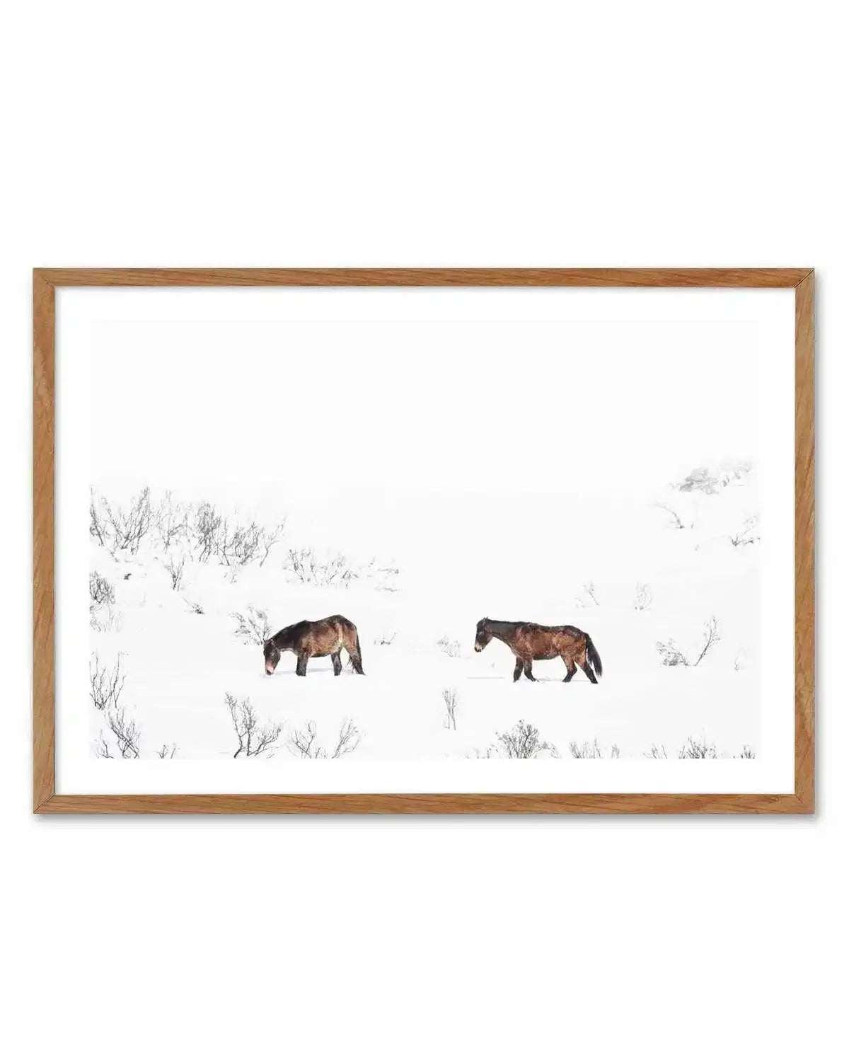 Baby Brumbies Art Print-PRINT-Olive et Oriel-Olive et Oriel-50x70 cm | 19.6" x 27.5"-Walnut-With White Border-Buy-Australian-Art-Prints-Online-with-Olive-et-Oriel-Your-Artwork-Specialists-Austrailia-Decorate-With-Coastal-Photo-Wall-Art-Prints-From-Our-Beach-House-Artwork-Collection-Fine-Poster-and-Framed-Artwork