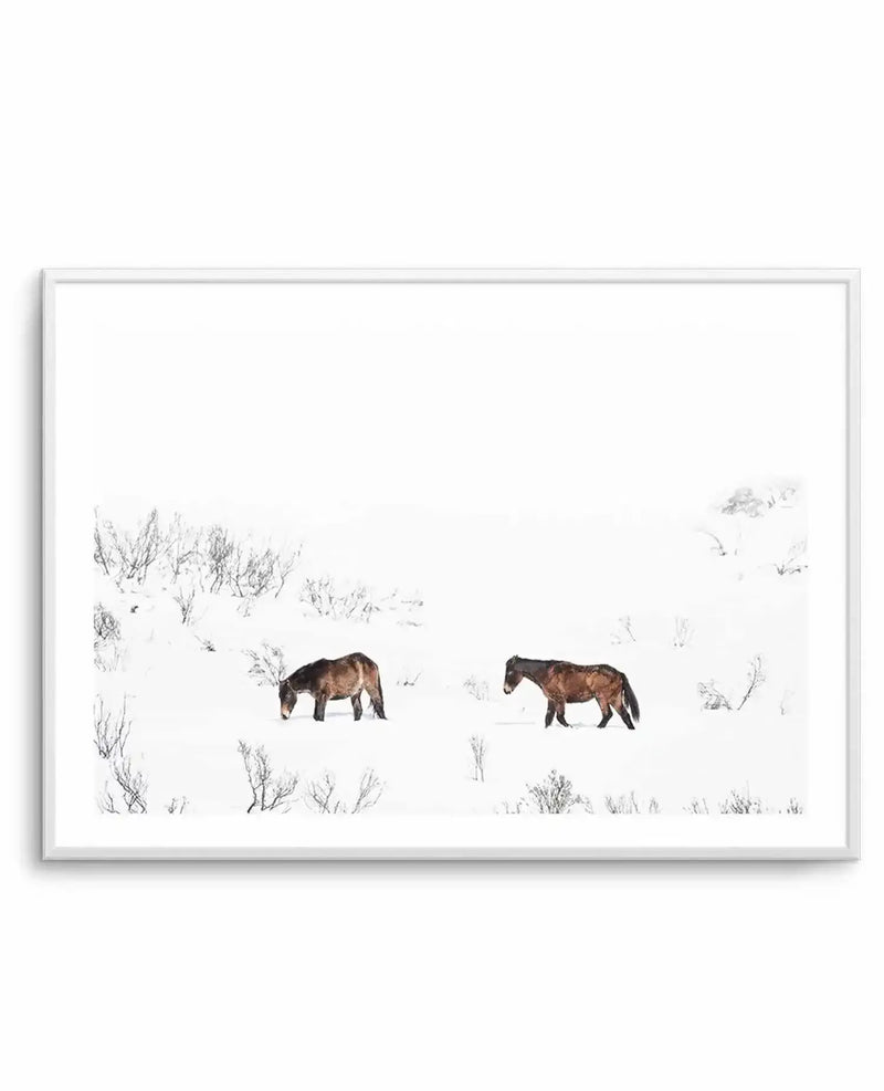 Framed photography art print of two wild horses in a snowy landscape, displayed in a white frame with a white border. The composition features two brown horses, one grazing and one walking, surrounded by sparse, snow-covered bushes and a vast white background.