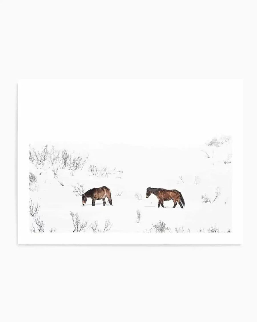 "Photography art print of two wild horses, known as Brumbies, walking through a snow-covered landscape with sparse, dark winter bushes. The horses have dark brown coats with reddish undertones. The composition features a vast expanse of white snow and sky, creating a minimalist and serene mood."