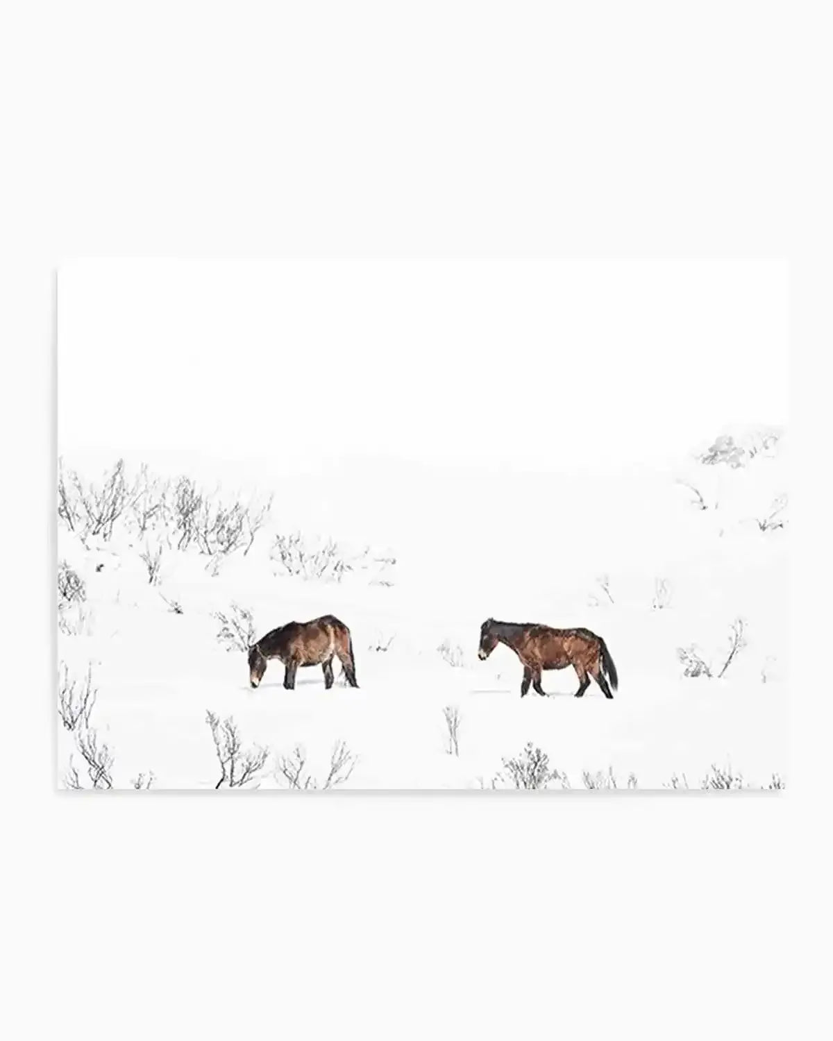 Baby Brumbies Art Print from Olive et Oriel where you can shop wallpaper and artworks online