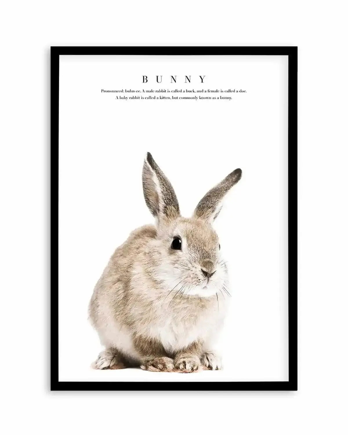 Baby Bunny Art Print from Olive et Oriel where you can shop wallpaper and artworks online