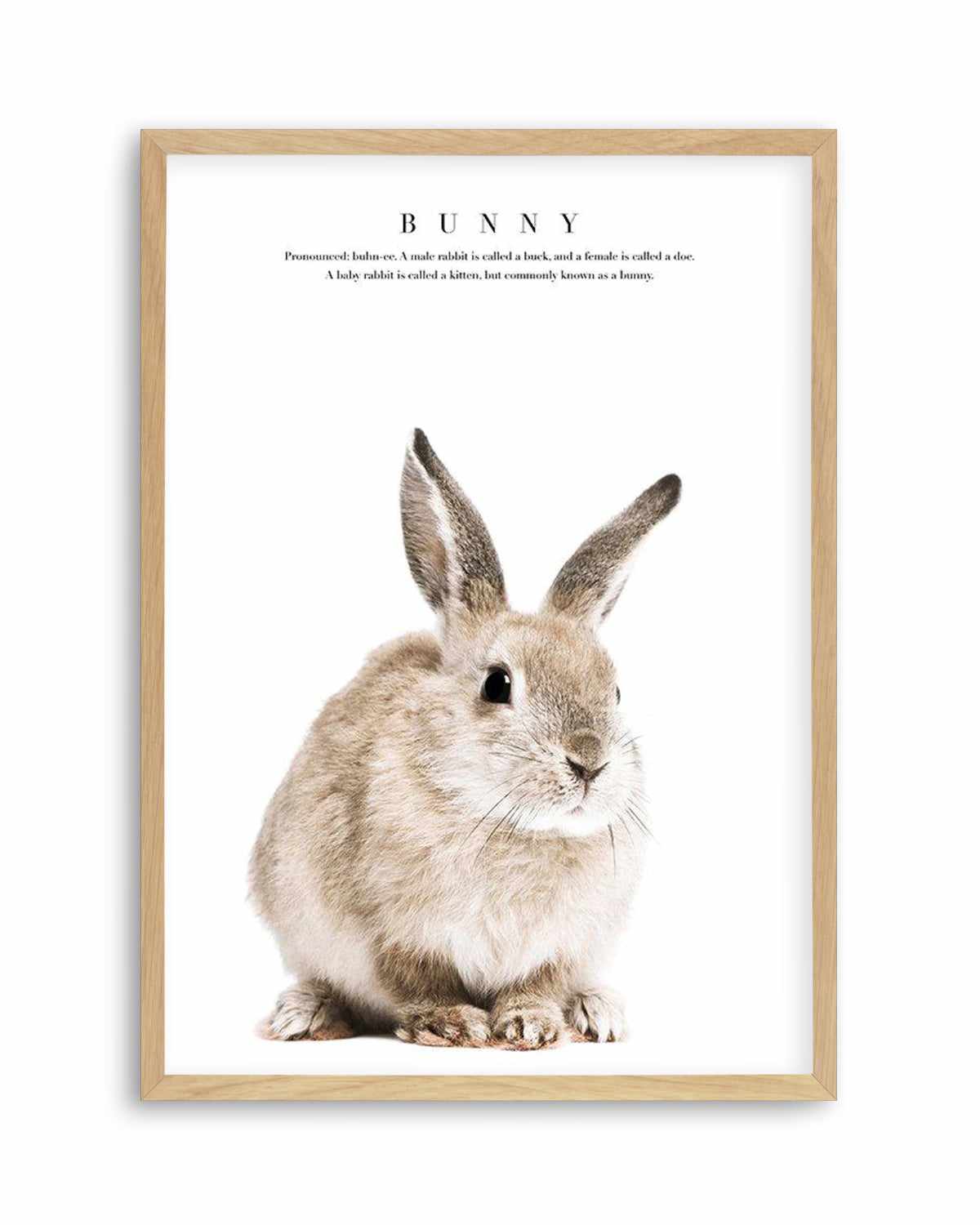 Baby Bunny Art Print