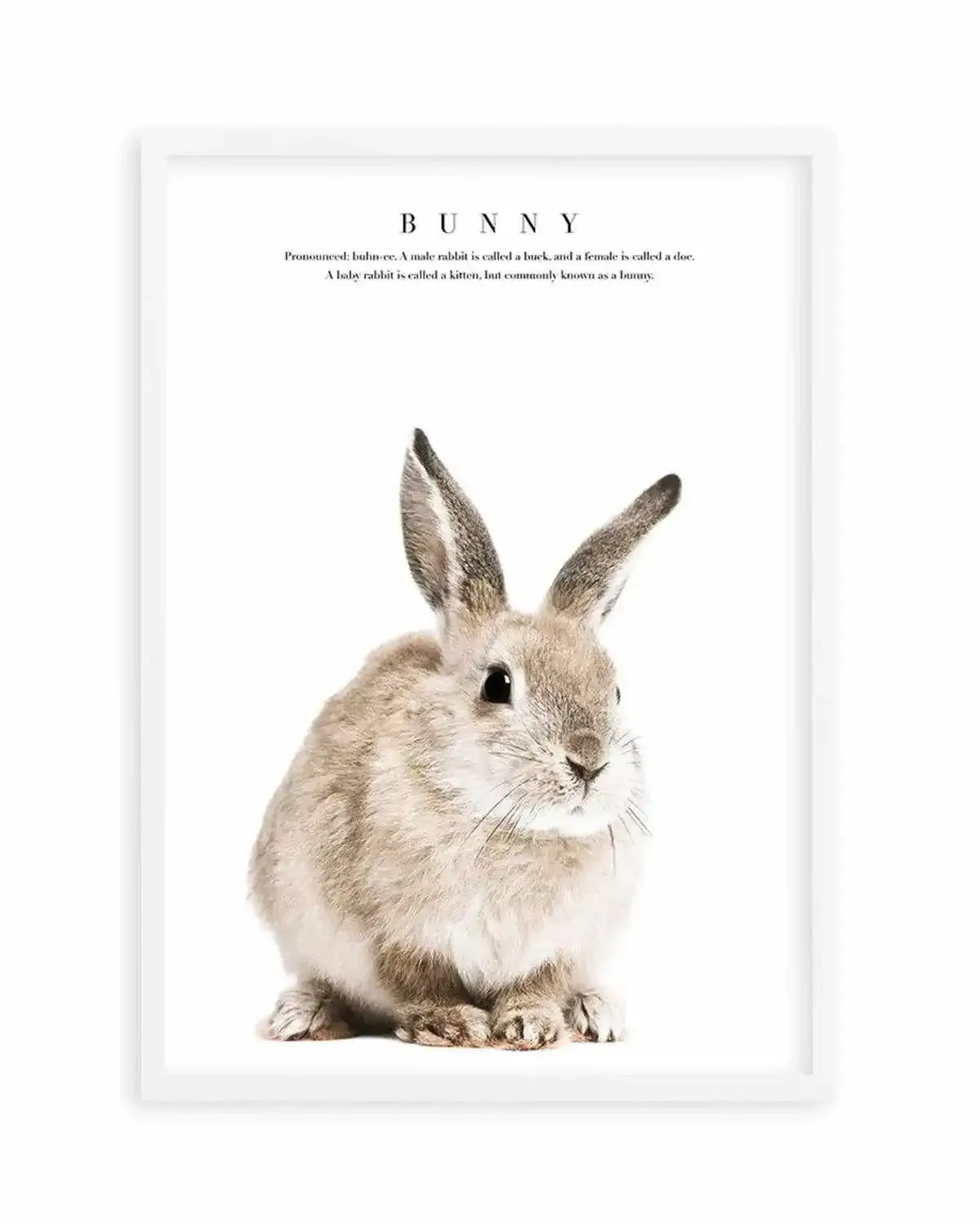 Baby Bunny Art Print from Olive et Oriel where you can shop wallpaper and artworks online
