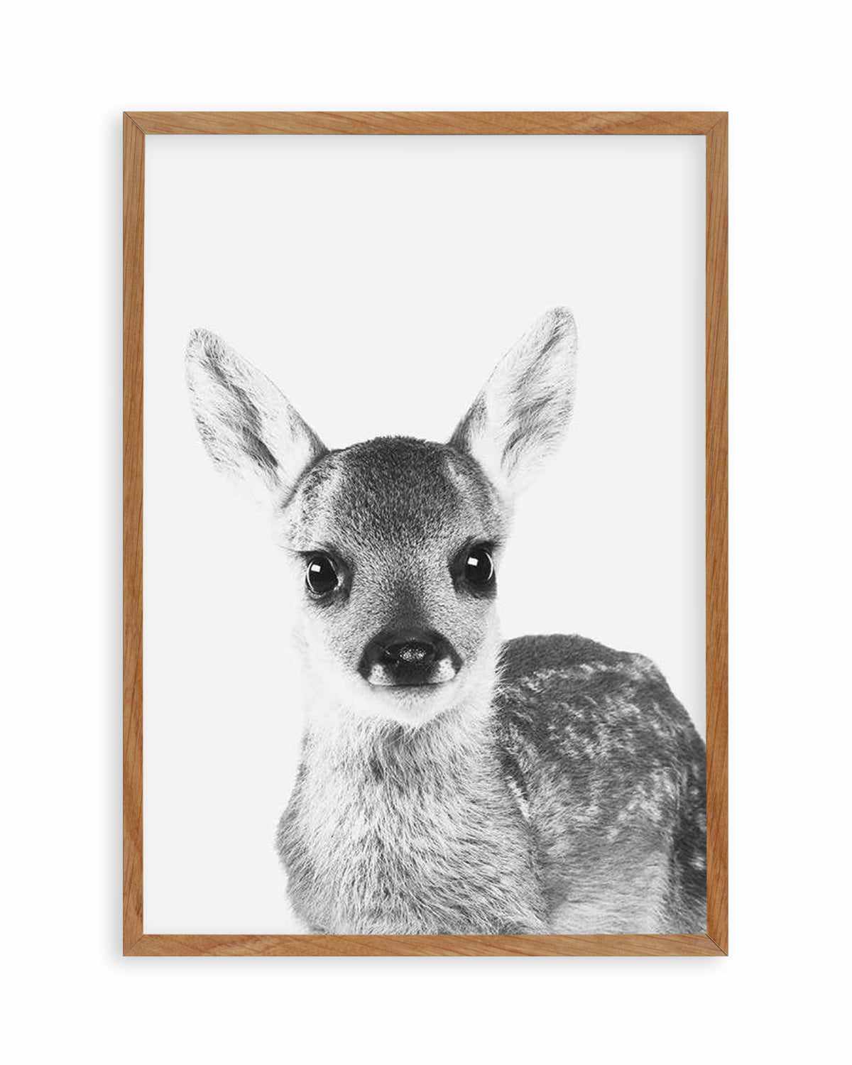 Baby Deer | B&W Art Print