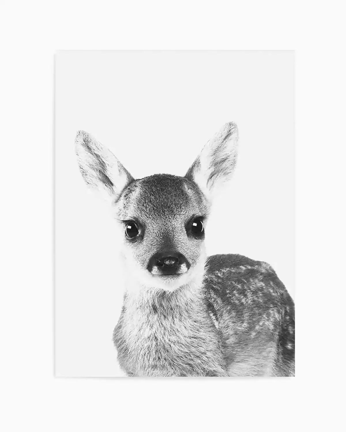 Baby Deer | B&W Art Print from Olive et Oriel where you can shop wallpaper and artworks online