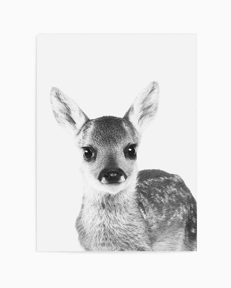 Baby Deer | B&W Art Print