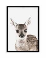 Baby Deer | Colour Art Print