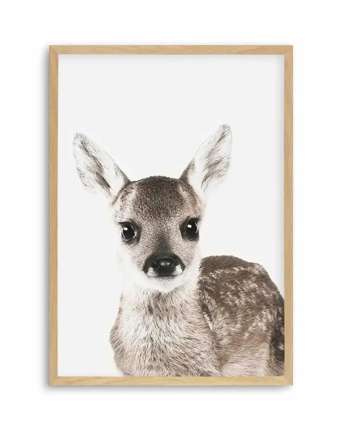 Baby Deer | Colour Art Print from Olive et Oriel where you can shop wallpaper and artworks online