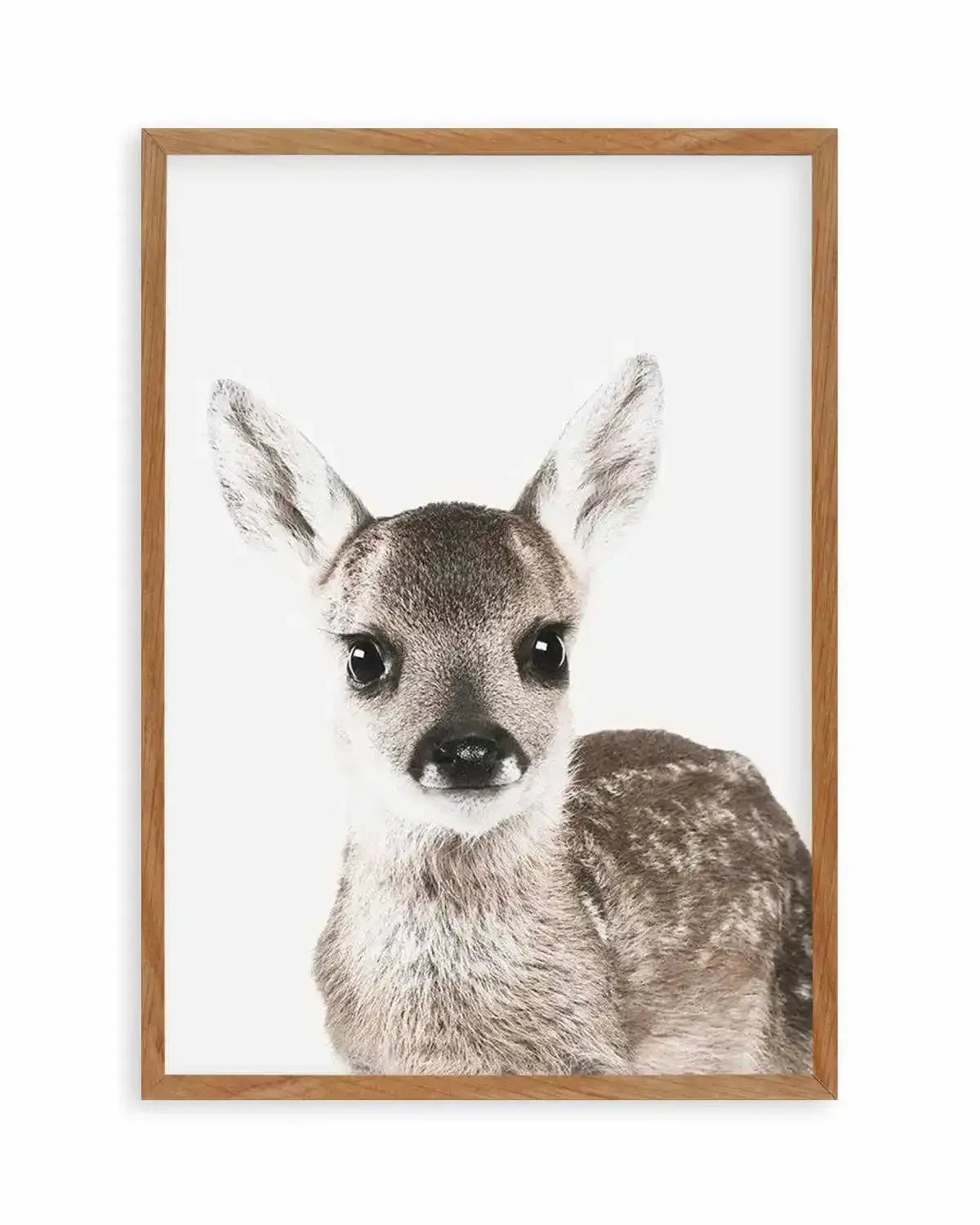 Baby Deer | Colour Art Print from Olive et Oriel where you can shop wallpaper and artworks online