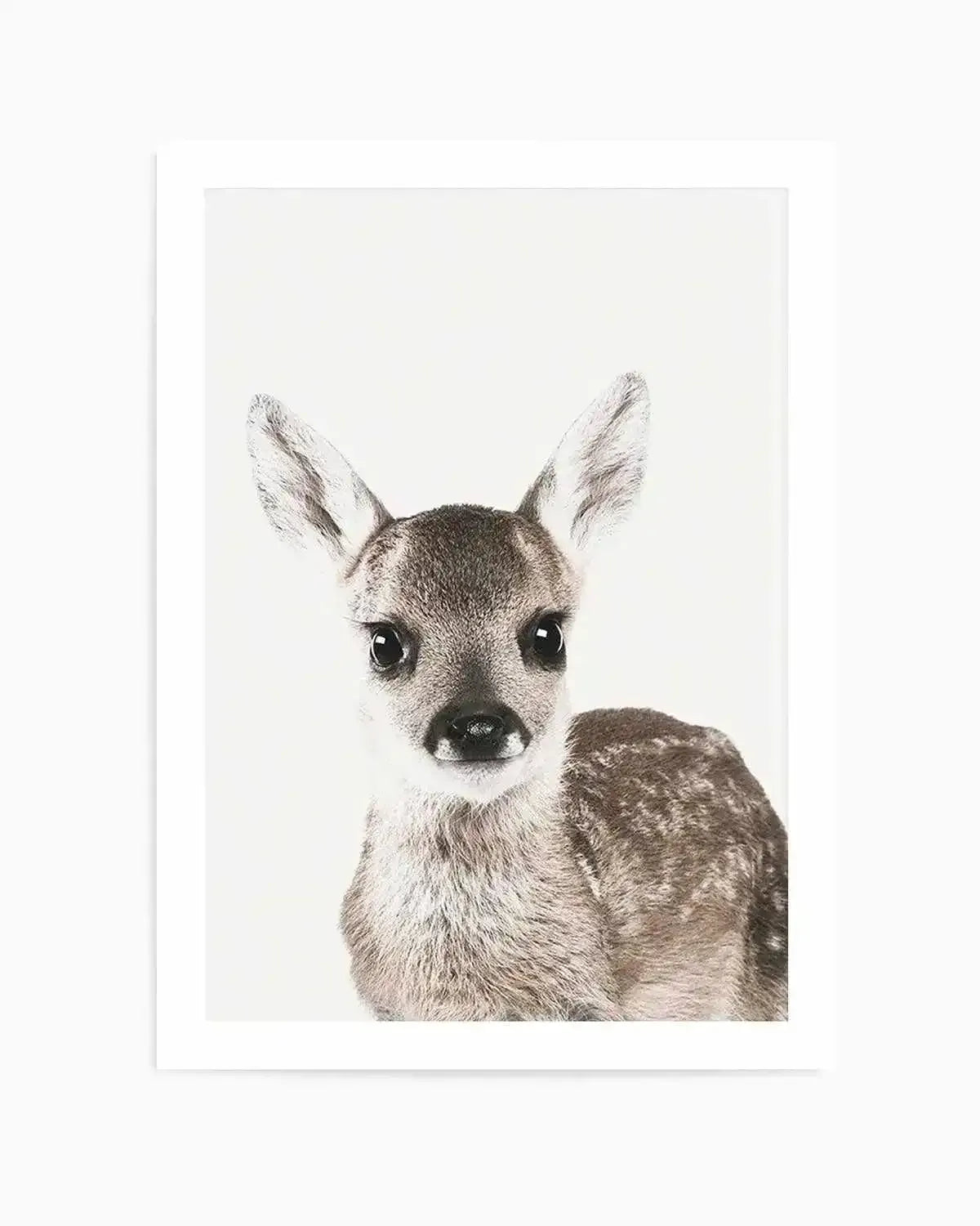Baby Deer | Colour Art Print from Olive et Oriel where you can shop wallpaper and artworks online