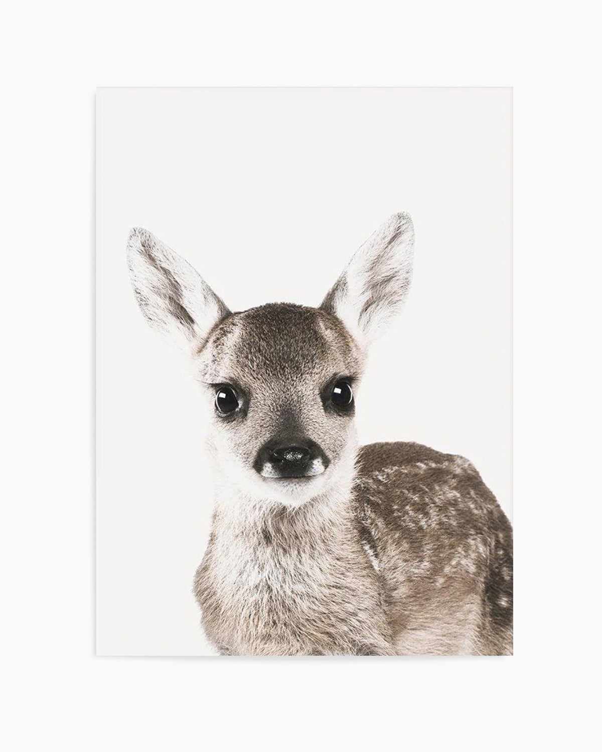 Baby Deer | Colour Art Print