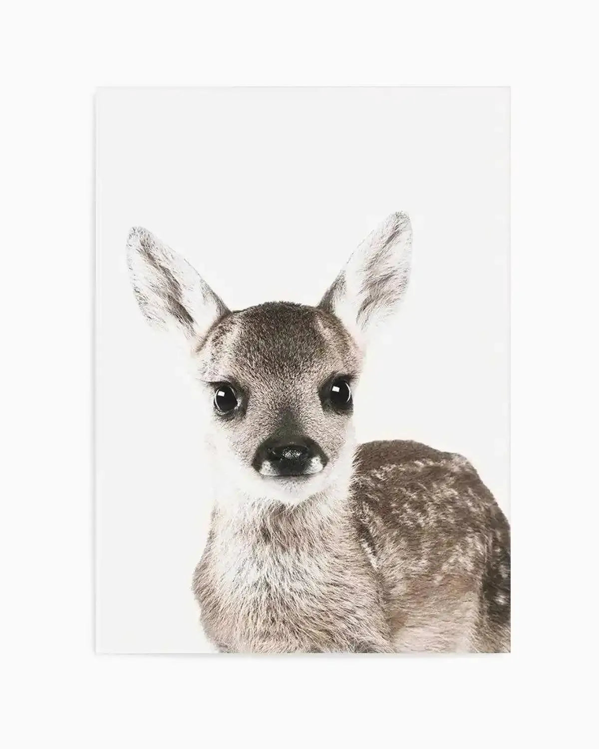 Baby Deer | Colour Art Print from Olive et Oriel where you can shop wallpaper and artworks online