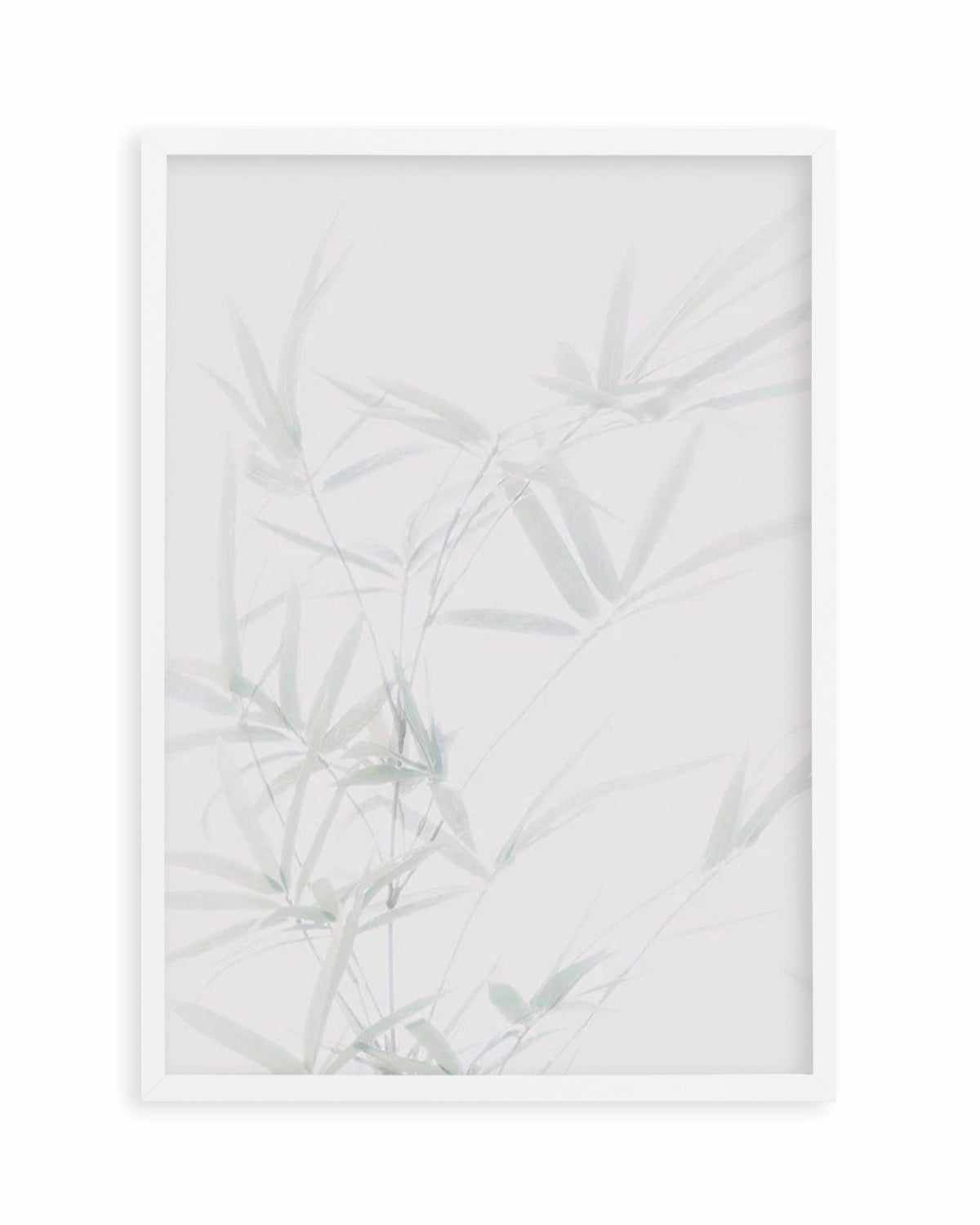 Bamboo I Art Print