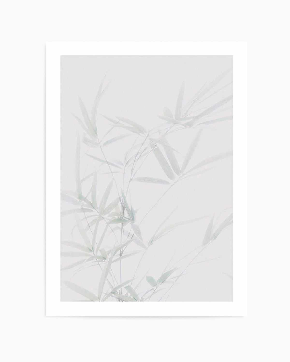 Bamboo I Art Print