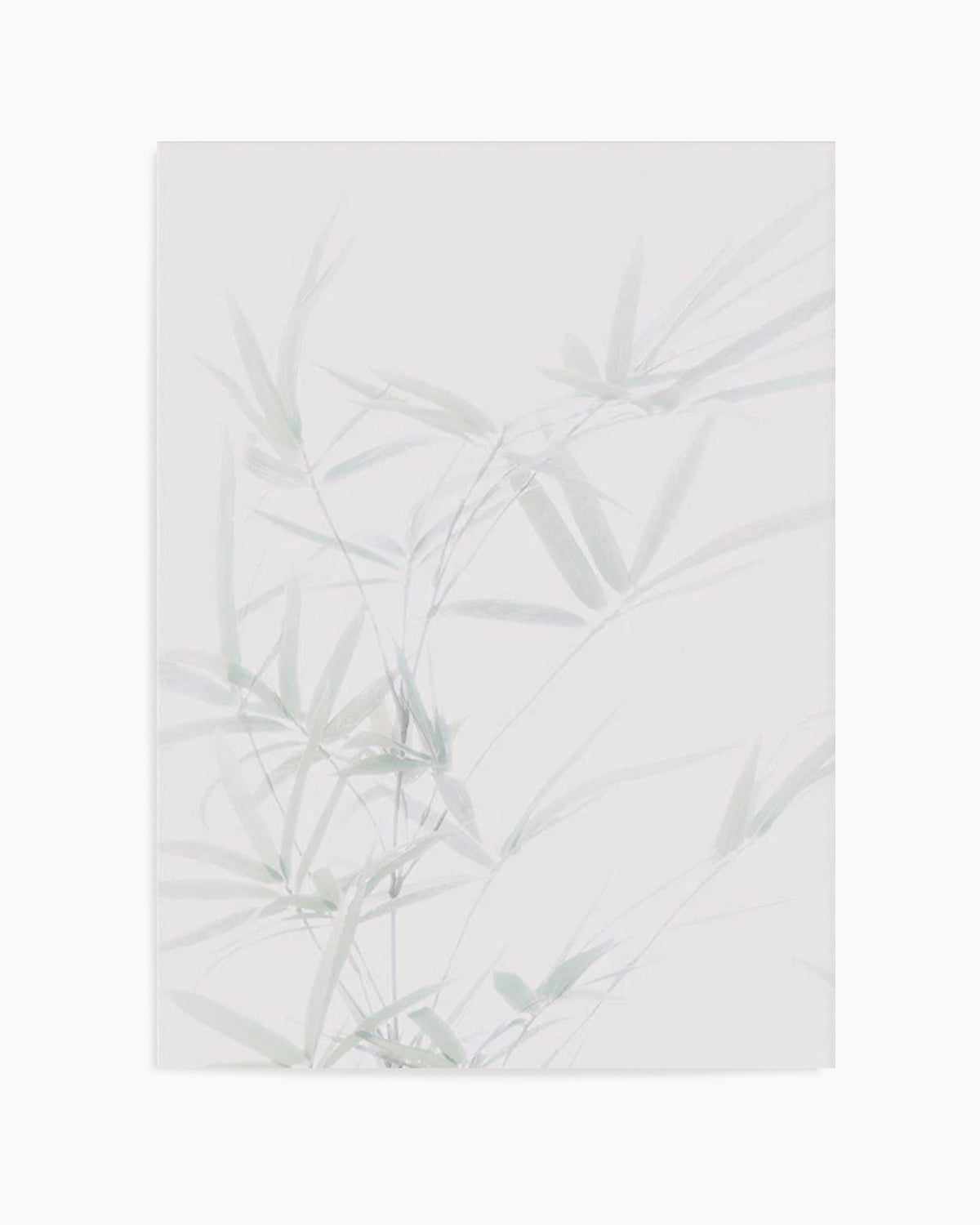 Bamboo I Art Print