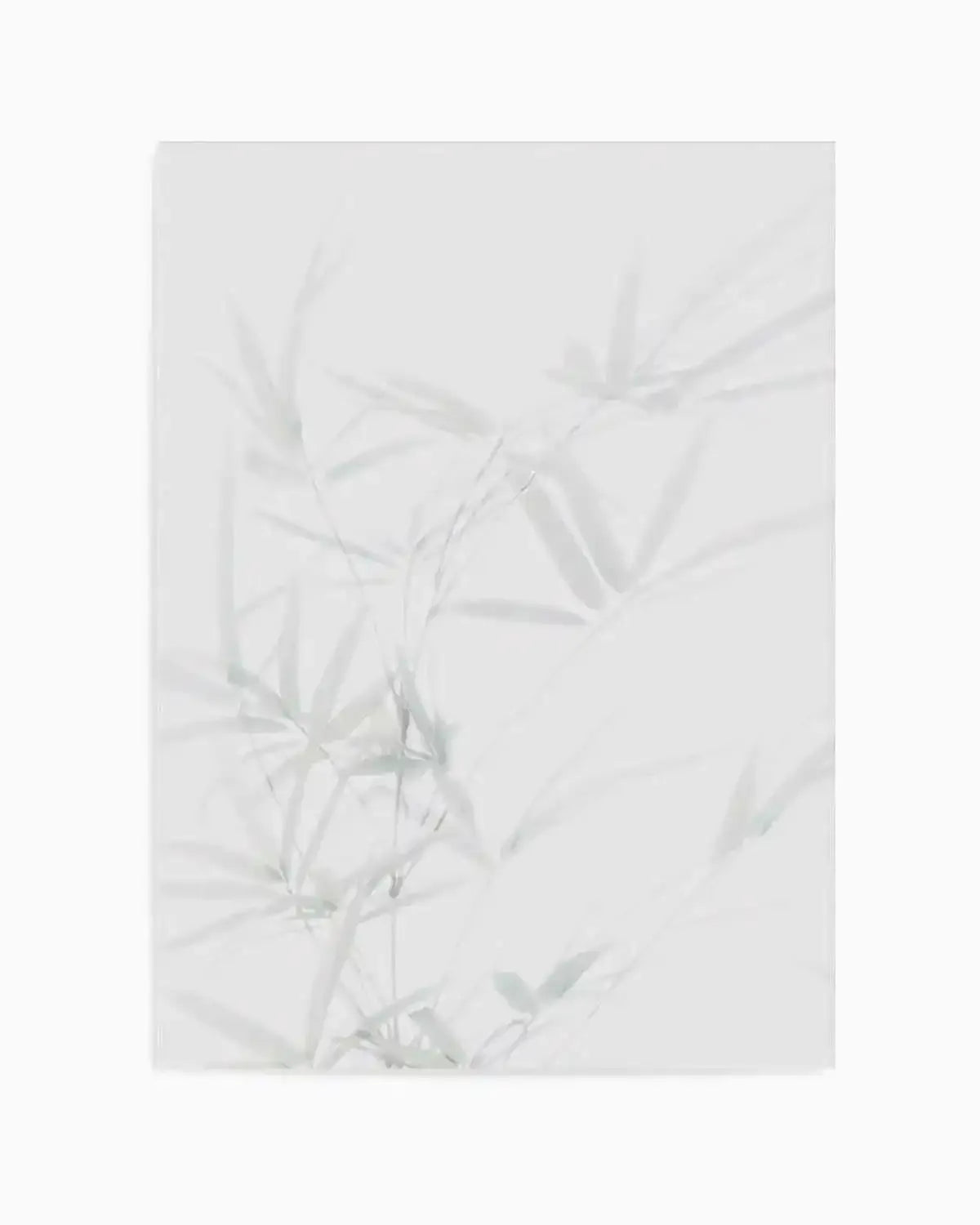 Bamboo I Art Print from Olive et Oriel where you can shop wallpaper and artworks online