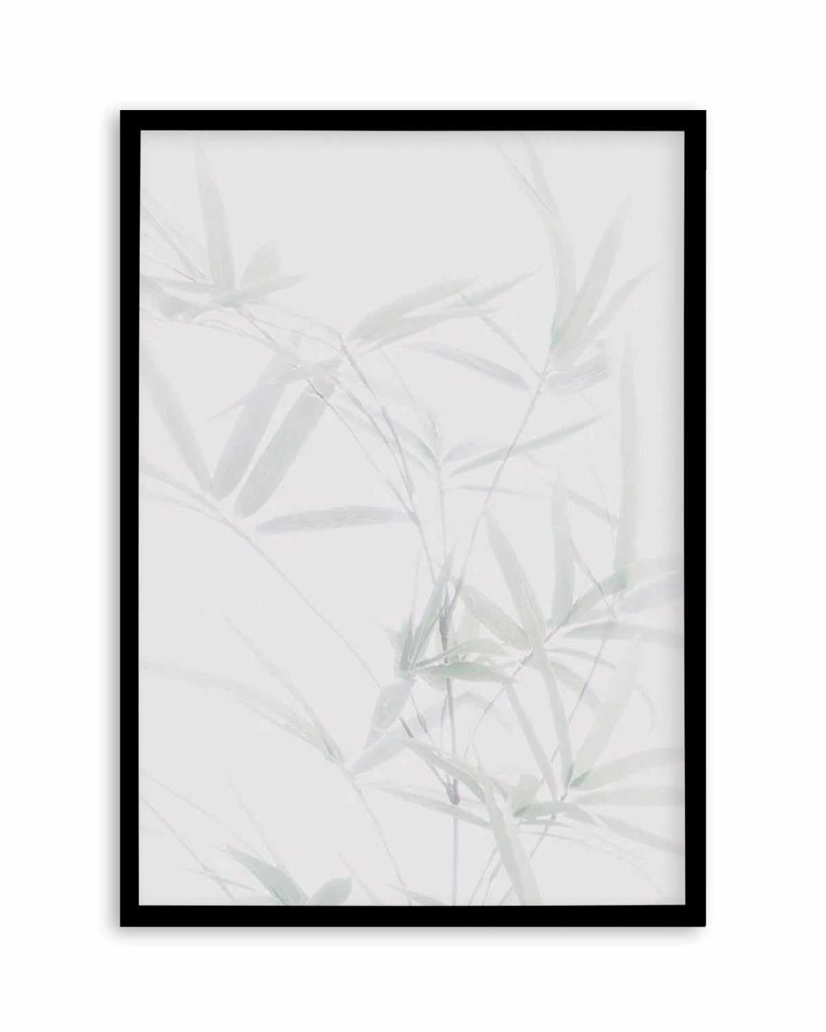 Bamboo II Art Print